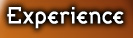Experience